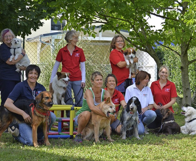 Die Besuchshunde des Roten Kreuzes bten einen Nachmittag lang  Crossdogging.   | Foto: Danielle Hirschberger