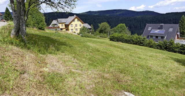 Diese Wiesenflche in Brental wird Ba...erg, beschloss jetzt der Gemeinderat.   | Foto: Ralf Morys