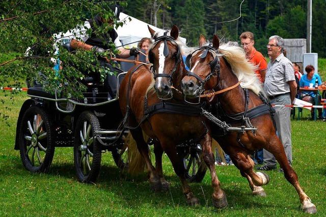 Fotos: Fahrertag in St. Mrgen