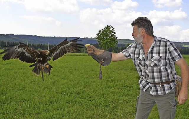 Falkner Franz Ruchlak lsst Adler, Eul...eifvgel in seiner Flugschau fliegen.   | Foto: Veranstalter