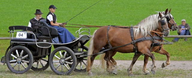 Gesamtsieger Manuel Tritschler hat die Zgel fest in der Hand.   | Foto: Wolfgang Scheu