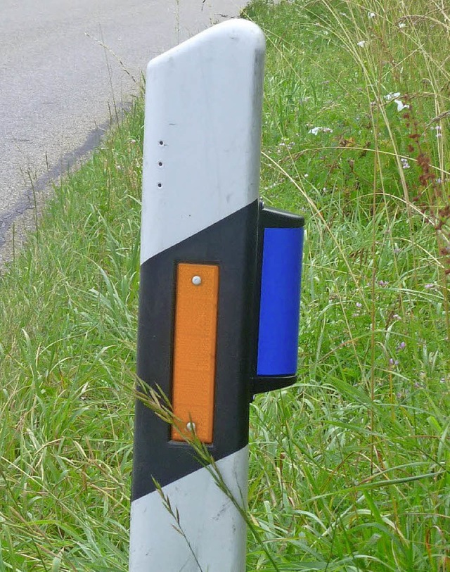 Die blauen Reflektoren sollen Wild von Straen fernhalten.   | Foto: privat