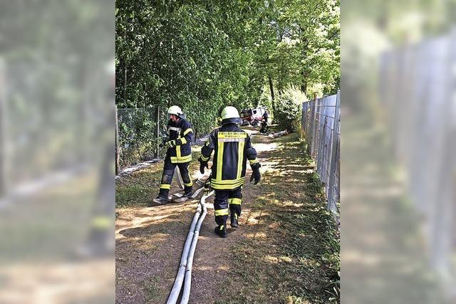 Vegetationsbrand am Freibad in Kollnau