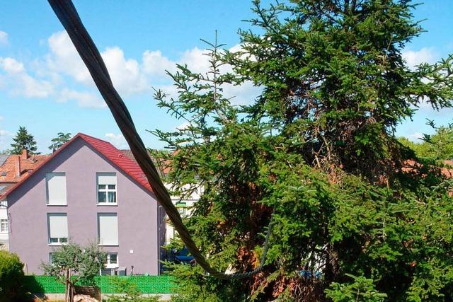 Maroder Strommast strzt in Garten – Leitung hngt in Tanne