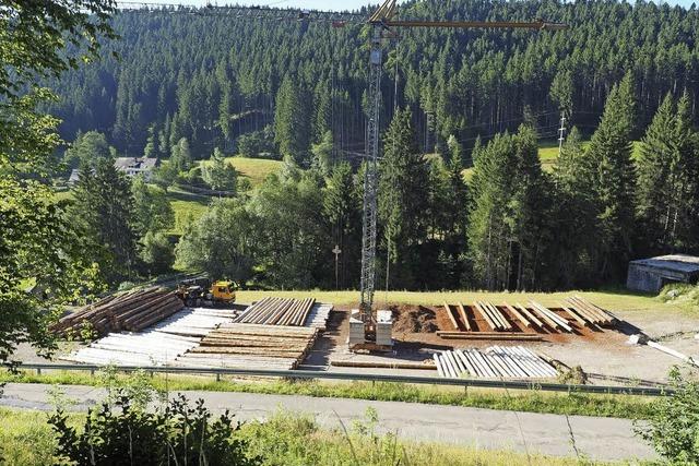 Reichlich Holz fr die Blockhuser