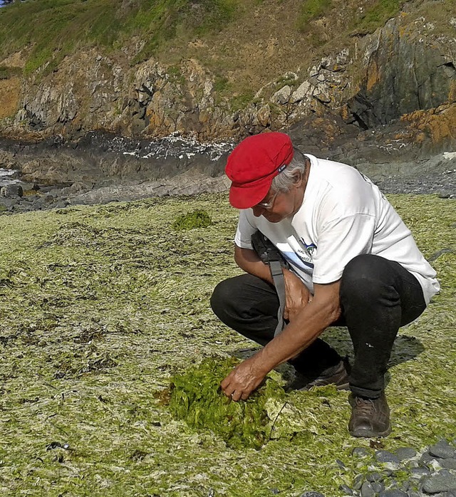 Andr Ollivro begutachtet die grne Alge.   | Foto: Stefan Brndle