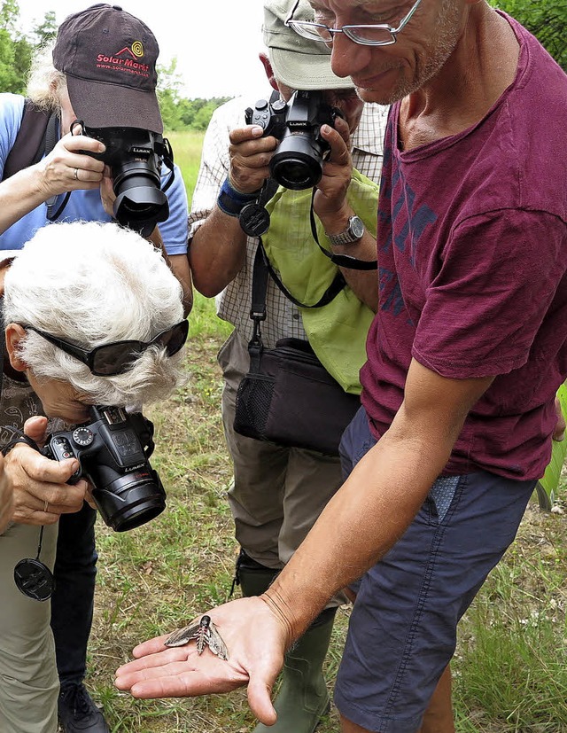 Besonderes Highlight fr die Fotografen: ein Ligusterschwrmer   | Foto: dop