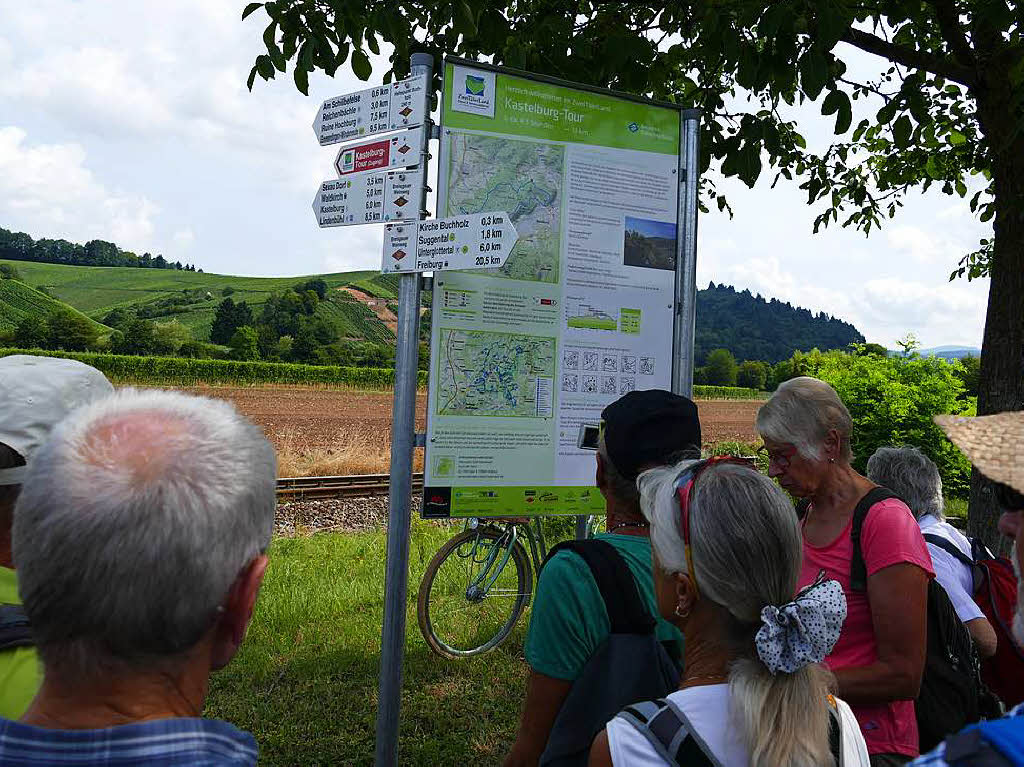 Die Badische Zeitung und der Schwarzwaldverein Waldkirch-Kandel luden ein zur Wanderung „Wein, Wald, Wasser am Kandel“. Gewandert wurde auf der dem Kandel gegenberliegenden Talseite, zwischen Buchholzer Rebberg und Kastelburg.