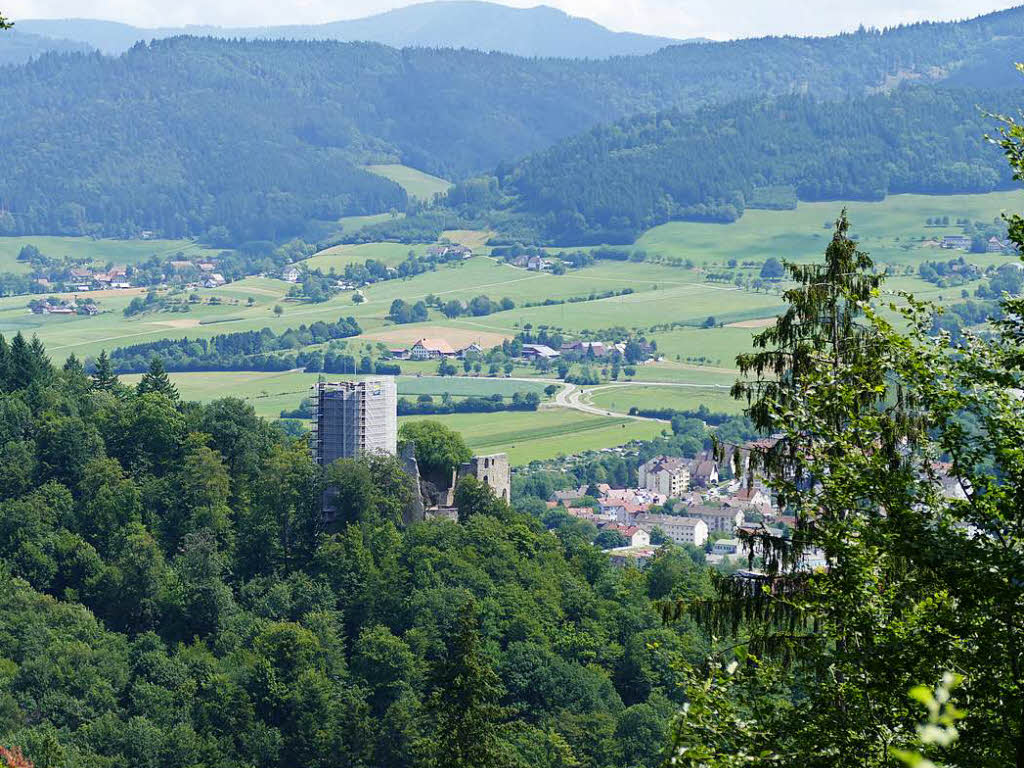 Wald, Wasser am Kandel“. Gewandert wurde auf der dem Kandel gegenberliegenden Elztalseite, zwischen Buchholzer Rebberg und Kastelburg. Hier sieht man den eingersteten Turm der Kastelburg von oben.