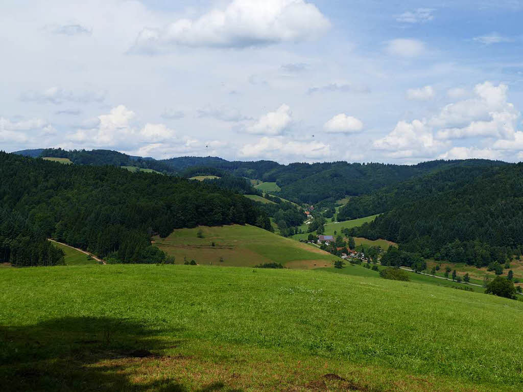 Blick ins Kohlenbachtal