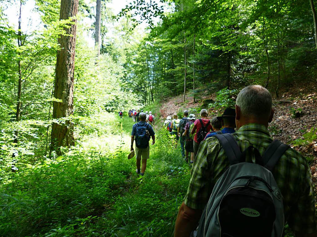 Die Badische Zeitung und der Schwarzwaldverein Waldkirch-Kandel luden gemeinsam ein zur Wanderung „Wein, Wald, Wasser am Kandel“.