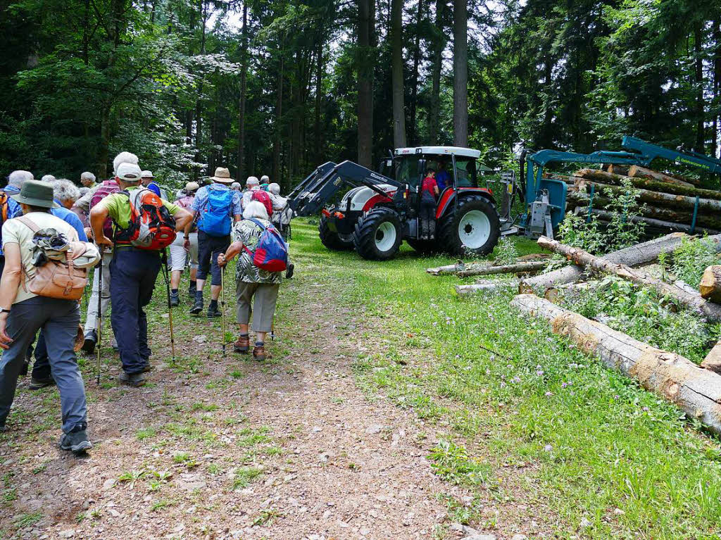 Im Wald wird rund ums Jahr gearbeitet, so dass es auch zu Begegnungen zwischen Wanderern und Forstleuten kommt.