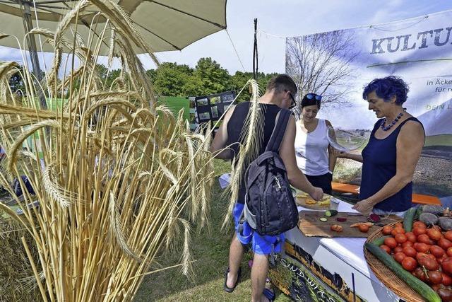 Agrikulturfestival zeigt ökologisch und sozial vertretbaren Konsum