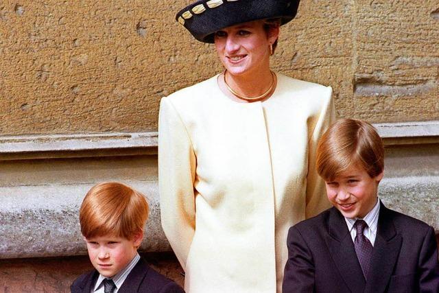 Prinzen bedauern hastiges letztes Gesprch mit Diana