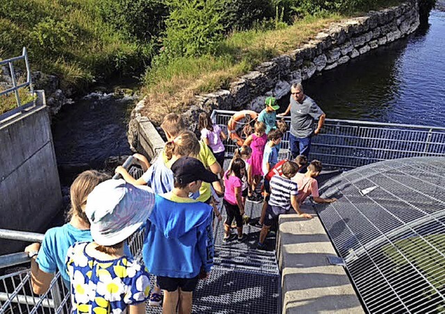 Die Drittklssler besuchen das Hausener Wasserkraftwerk  | Foto: Privat