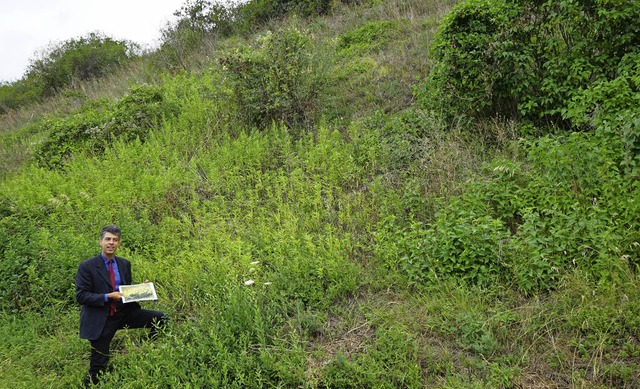 Reinhold Treiber vom Landschaftserhalt...utert, wie die Bschung gepflegt wird   | Foto: Steckmeister