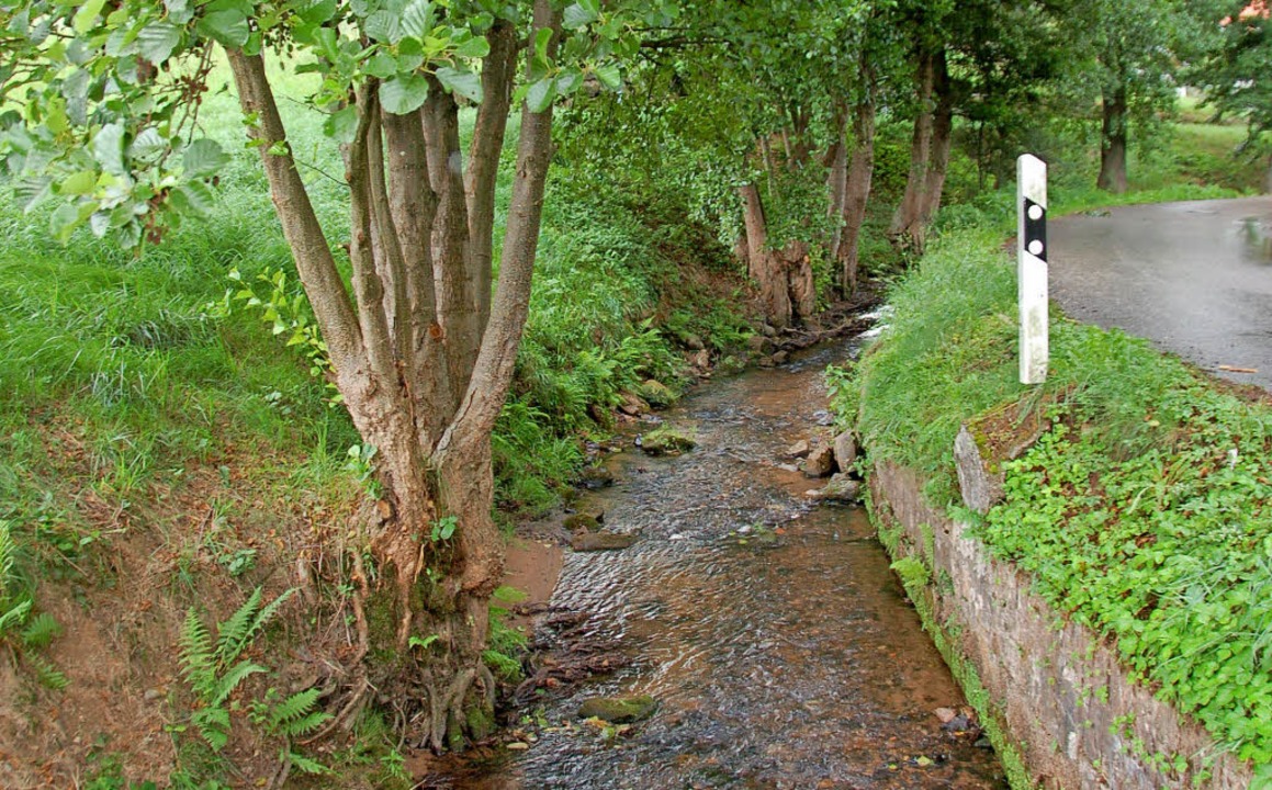 Teils ist der Gereutertalbach von Betonufern eingeengt.   | Foto: Wolfgang Beck