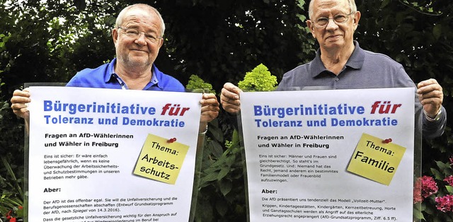 Aufklren, welche Ziele die AfD verfol... mit zwei der insgesamt zwlf Plakaten  | Foto: Markus Zimmermann