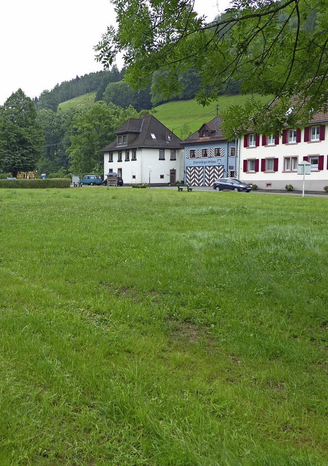 Der ehemalige Sportplatz in Oberprechtal soll als Baugebiet erschlossen werden.  | Foto: Roland Gutjahr