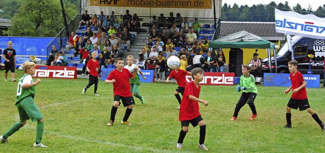 Das besondere beim Jugendcup in Schwrstadt ist die Stadionatmosphre.   | Foto: Archivfoto: Verein