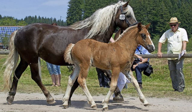 Tradition und Heimatverbundenheit zum ...hau im vergangenen Jahr in St. Mrgen   | Foto: Wolfgang Scheu