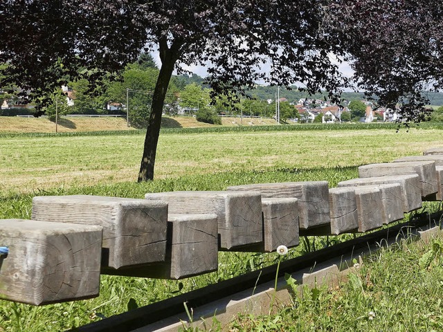 An der Hornbergstrae in Haagen kann d...Modulbauten fr Geflchtete beginnen.   | Foto: Kathrin Ganter