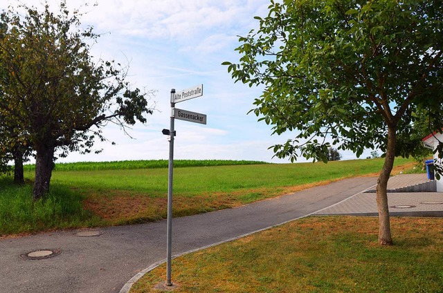 Auf der Flche oberhalb der Poststrae...ae ist Platz fr ein neues Baugebiet.  | Foto: Markus Maier