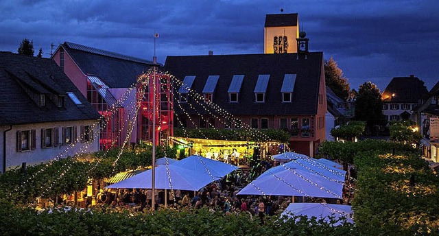 The Teddyshakers erffnen den Sommergarten  | Foto: Stadt Neuenburg