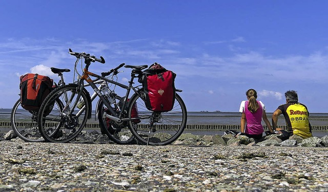 Pause am nordfriesischen Wattenmeer  | Foto: Globisch