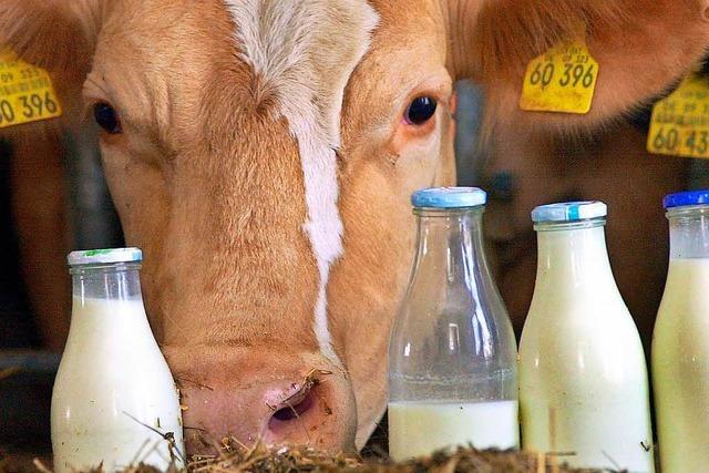 Wie die Milch der Bauern im Labor untersucht wird