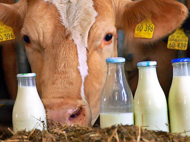 Bevor Milch in Flaschen abgefllt wird...zahlreiche Untersuchungen im Labor an.  | Foto: dpa