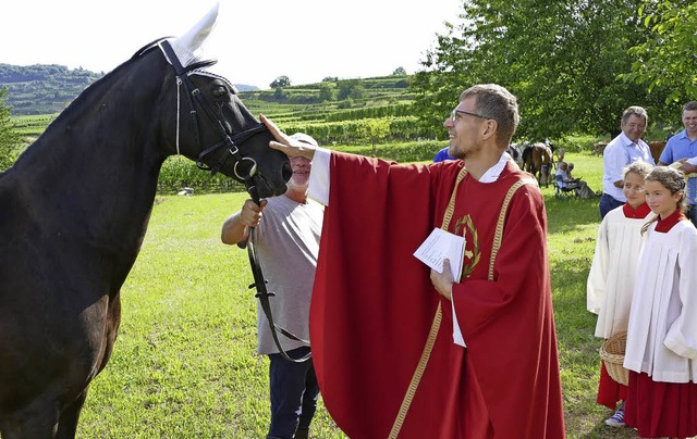 Im Rahmen des Festgottesdienstes anläs...m Gottesdienst mitgeführten Pferde. | Foto: Kreutner Im Rahmen des Festgottesdienstes anläs...m Gottesdienst mitgeführten Pferde. | Foto: Kreutner