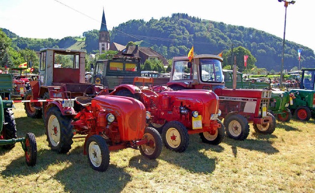 Schlepper, so weit das Auge reicht. Di...alten Traktoren sind echte Hingucker.   | Foto: Christian Ringwald