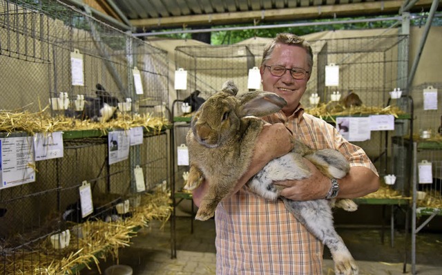Manfred Beyer mit einem Deutschen Ries... dem grten ausgestellten Kaninchen.   | Foto: Martin Eckert