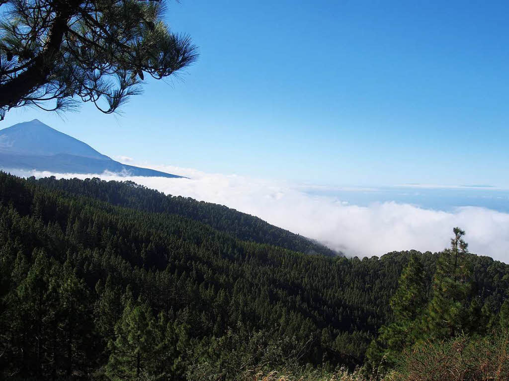 Landschaft: "ber den Wolken". Blick auf die hchste Erhebung auf der Kanarischen Insel Teneriffa und den hchsten Berg auf spanischem Staatsgebiet. Blick auf den Vulkan Teide. Gewandert sind Schillers aus Wyhlen.