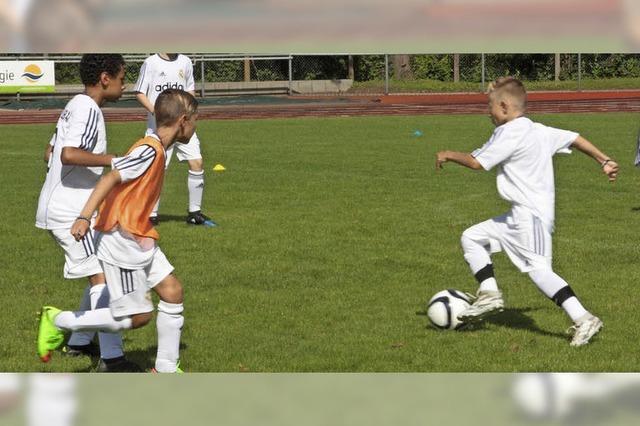 Zwei Drittel weniger Jungkicker