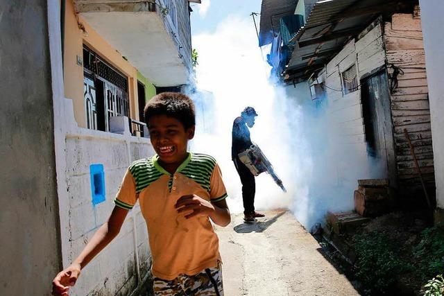 Mehr als 300 Menschen sterben am Dengue-Fieber