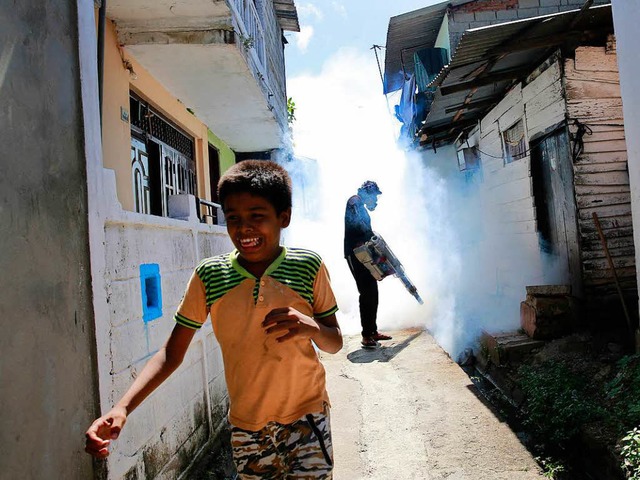 Ein Gemeindearbeiter desinfiziert  eine Strae in Colombo.   | Foto: dpa