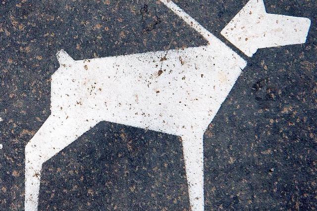 Dossenbacher Ortschaftsrat will Leinenpflicht für Hunde