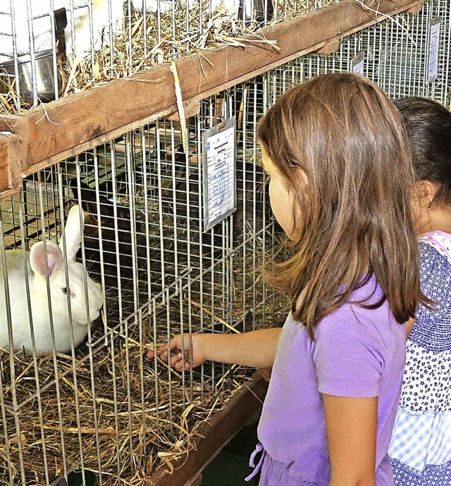 Fr die Kinder ist eine Kaninchenschau ein tolles Erlebnis.   | Foto: Hege