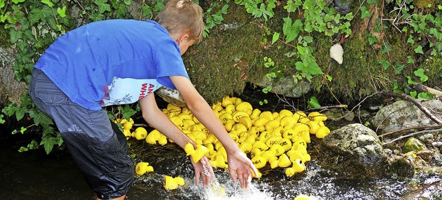 Entenrennen mit Hindernissen im Haslac...Fotos unter www.badische-zeitung.de).   | Foto: Fotos: Dauenhauer