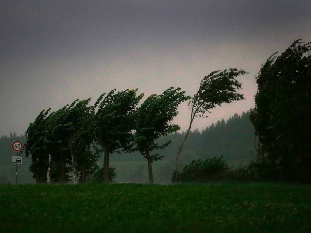 Bume biegen sich whrend eines Unwetters am 1. August in Bayern.  | Foto: dpa