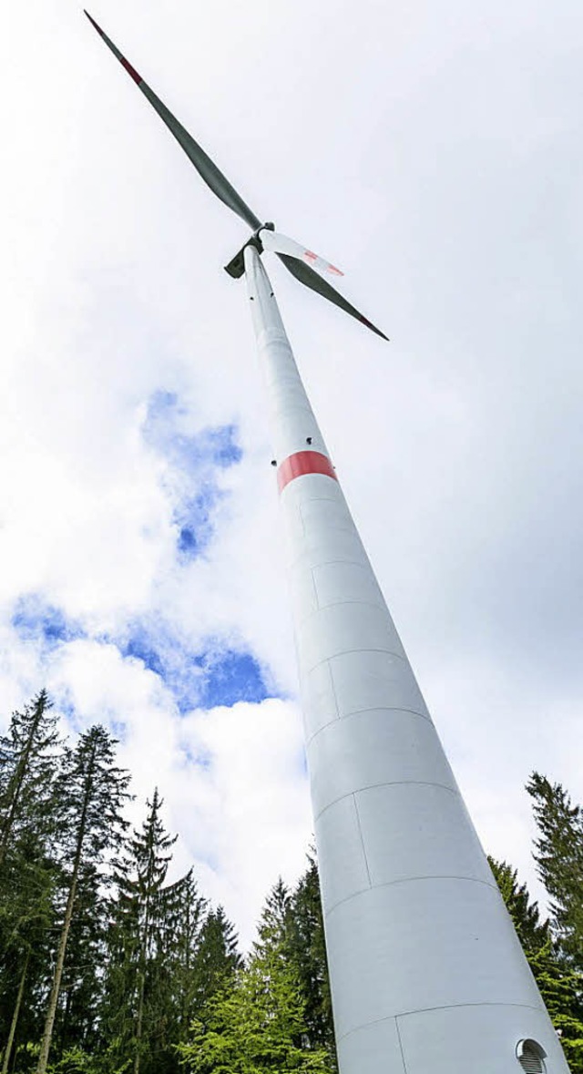 Eine der Anlagen des Windparks im Regelsbach.   | Foto: Green City