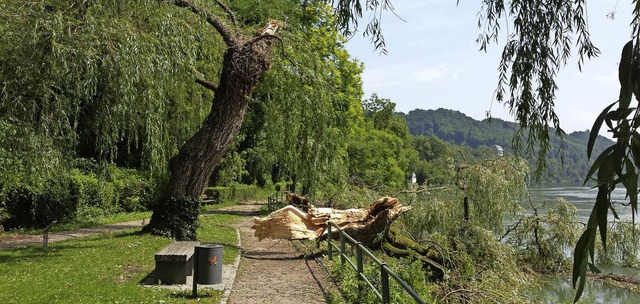 Die Waldshuter Rheinpromenade wurde he...e  durch einen Blitzschlag gespalten.   | Foto: Peter Rosa/Feuerwehr