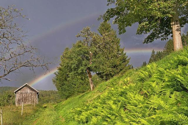 Regenbogen bei Marzell