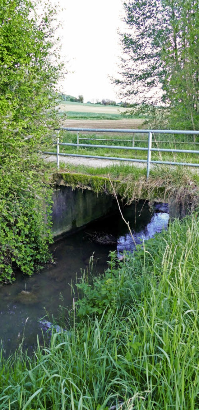 Eine kleine Brcke, aber fr Landwirte von groer Bedeutung.   | Foto: Langelott