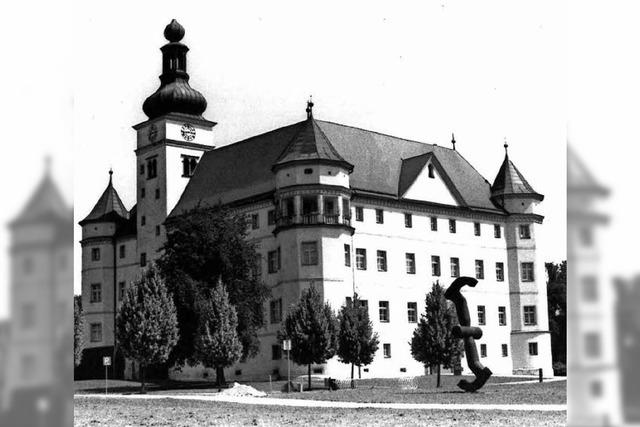Ermordet auf Schloss Hartheim