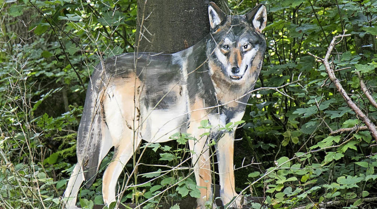 Mit Sicherheit wird niemand einen Wolf...für staunende Augen bei den Besuchern.  | Foto: Peter Rosa