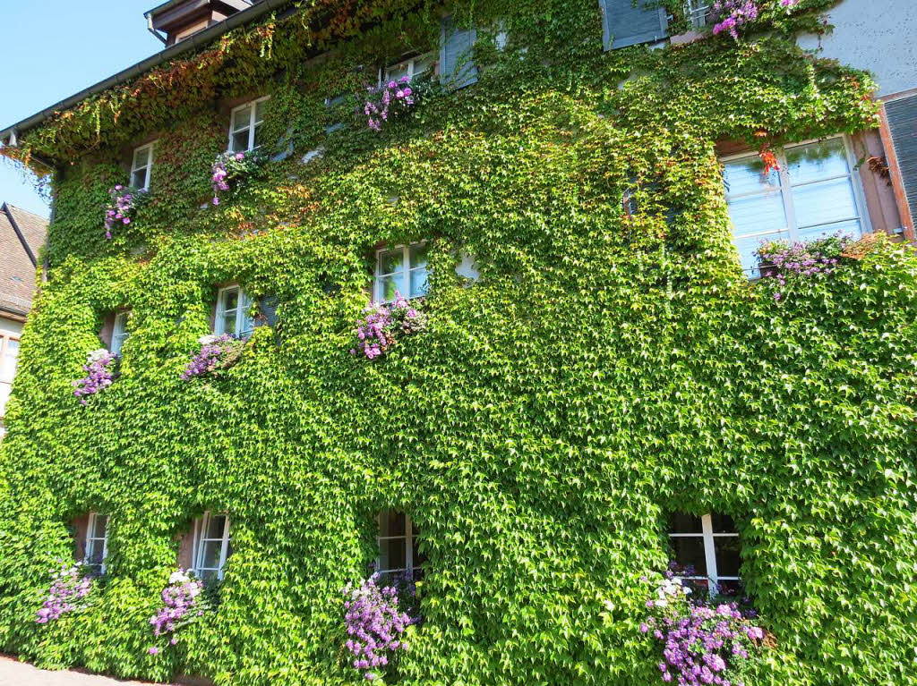 Dieter Kernbach: „Grn mit Farbtupfer“, die Aufnahme zeigt ein Haus in der Schopfheimer Altstadt.