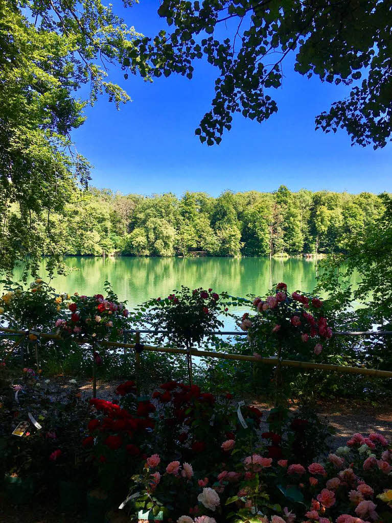 Gabriele Moll: Blick ber den Rhein in die Schweiz von Schloss Beuggen aus. Entstanden ist das Foto am 16.07. anlsslich der DiGA.